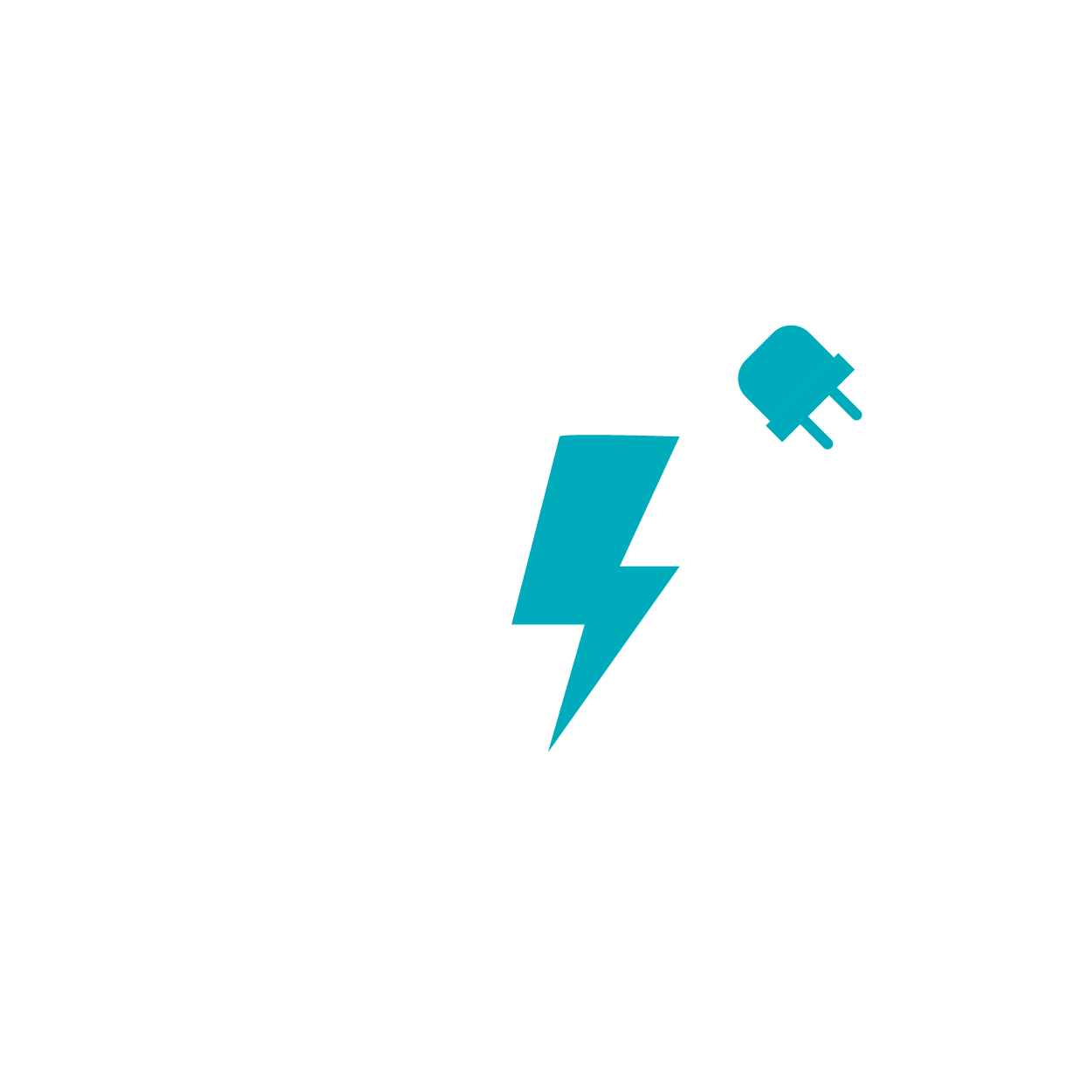 Fast Charging Speed: Integrated power module with high efficiency