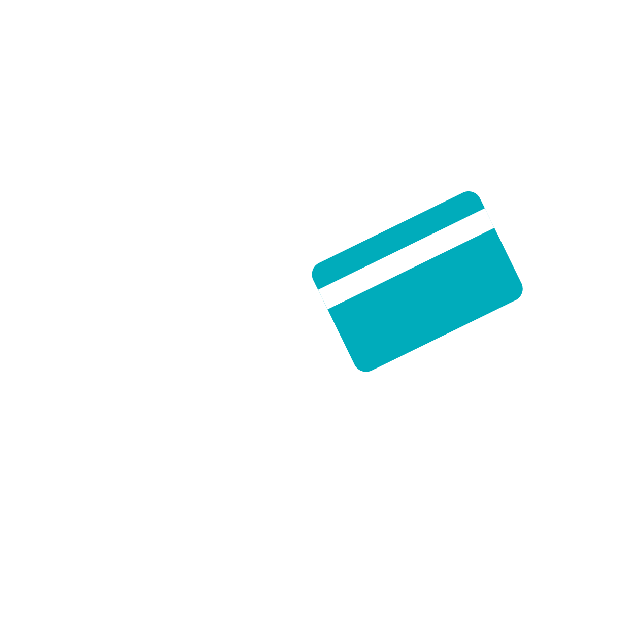 POS Terminal: Supports multiple payment methods including credit card and online payments